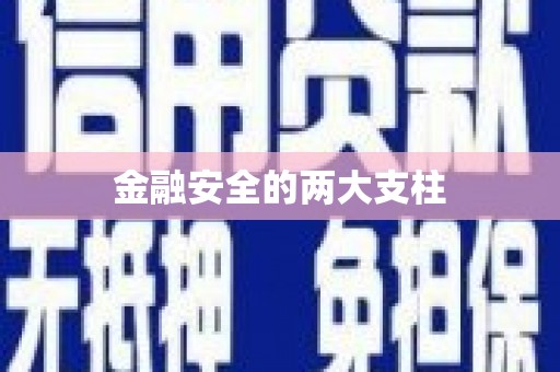 成功金融安全的两大支柱