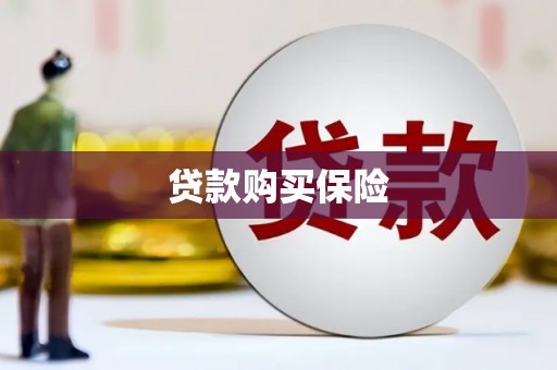 成功贷款购买保险