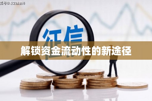 成功解锁资金流动性的新途径