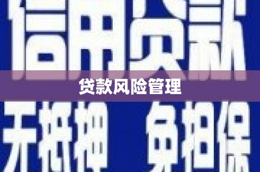 成功贷款风险管理