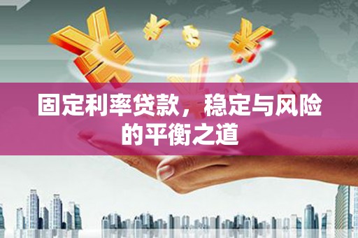 成功固定利率贷款，稳定与风险的平衡之道